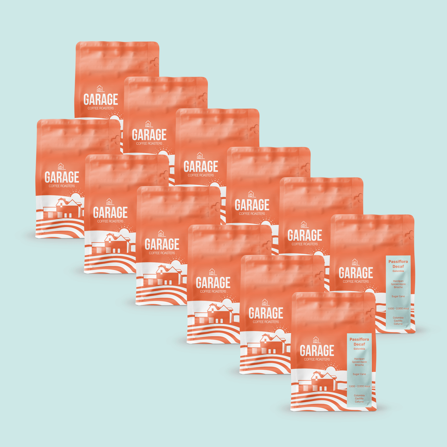 Seasonal Decaf | 12 Month Subscription