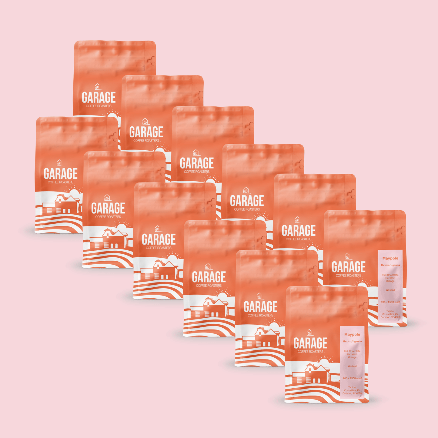 Maypole | 12 Month Subscription