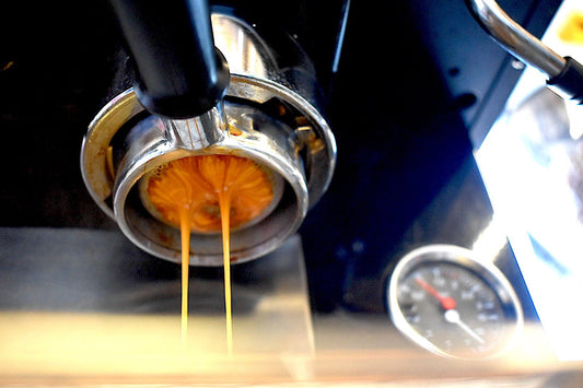 All About Our House Blend, Maypole!