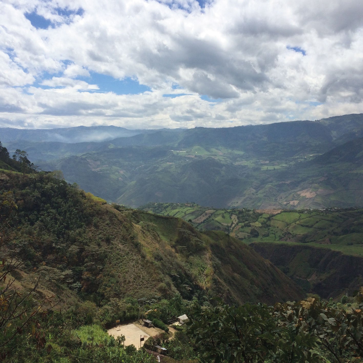 Sourcing great coffee, from bean to cup