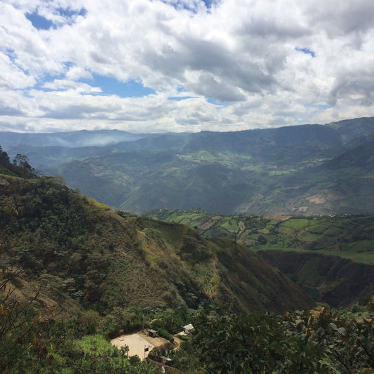 Sourcing great coffee, from bean to cup