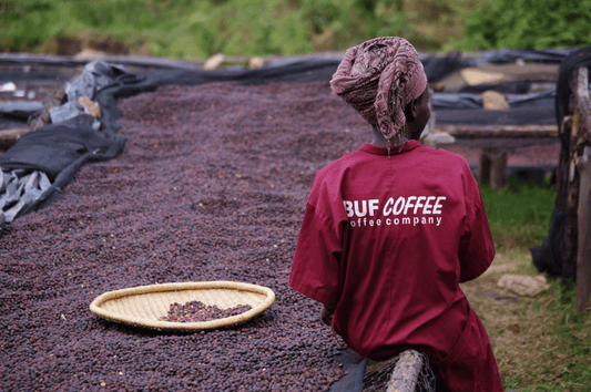 How to give second life to your used coffee grounds!
