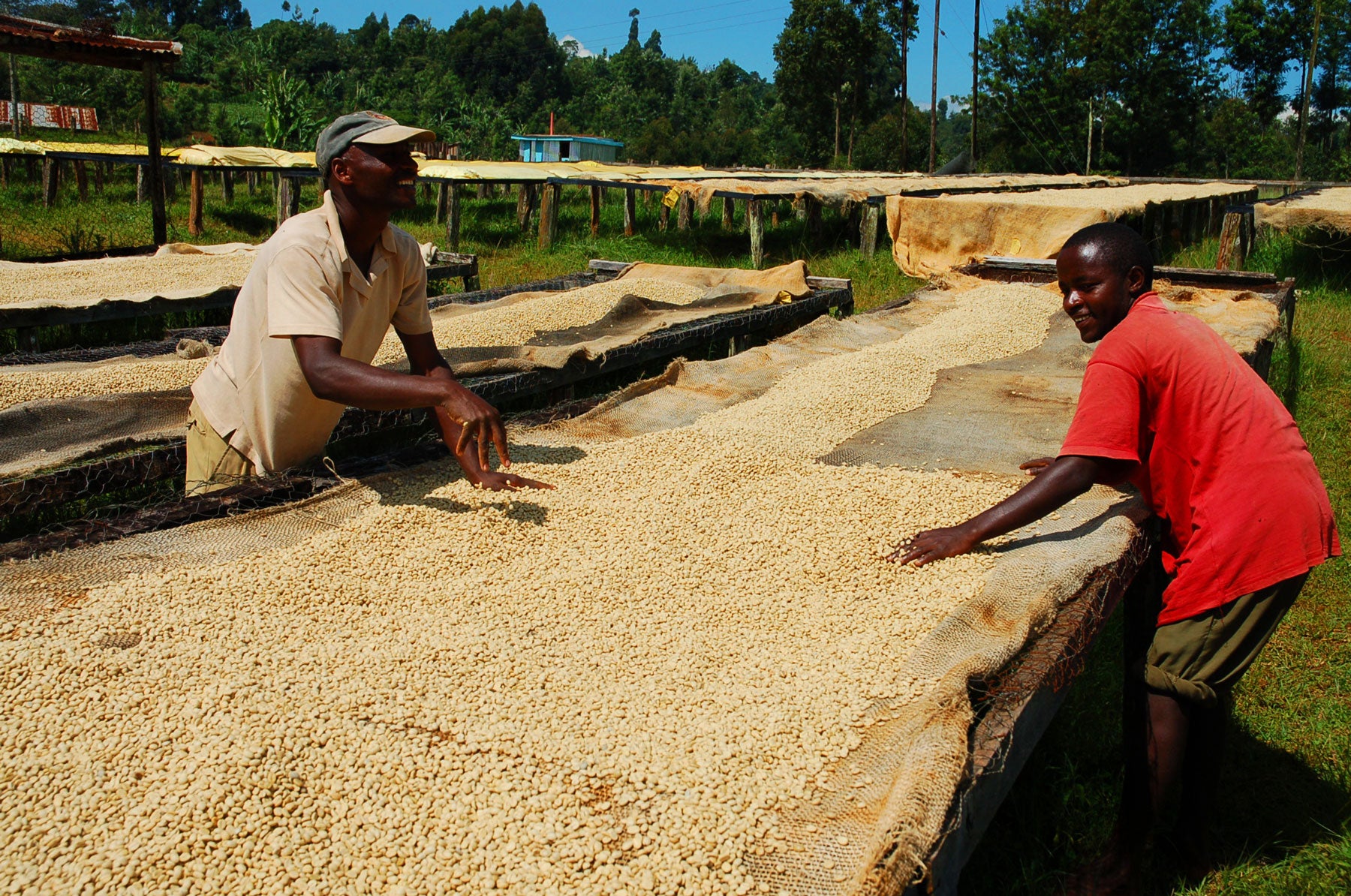 Coffee Q’s: What’s a Process?
