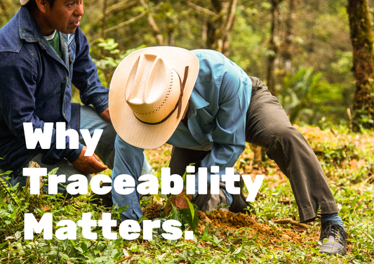 The Importance of Traceability in Speciality Coffee