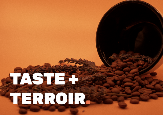The Role of Environment in Coffee Flavour.