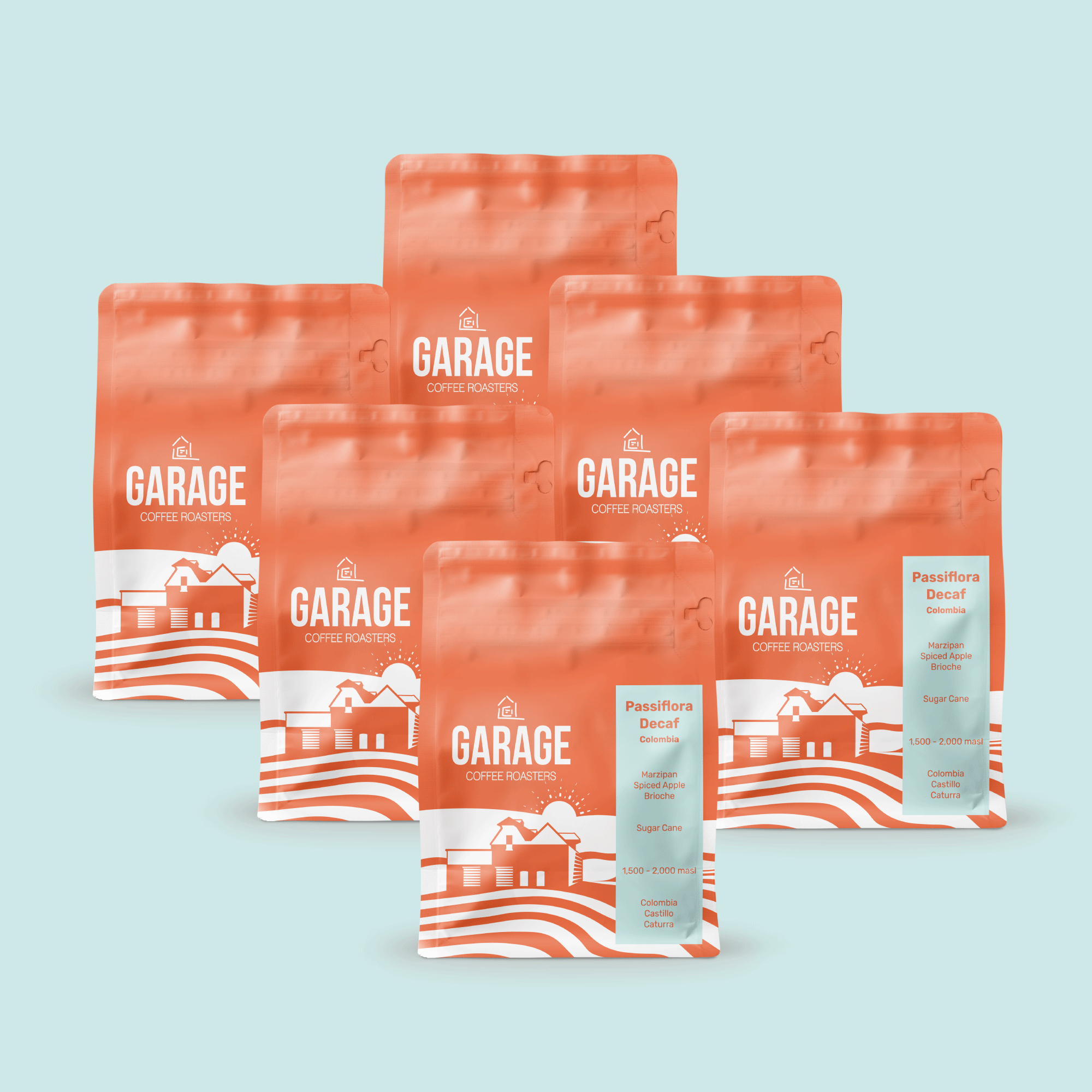 Seasonal Decaf | 6 Month Subscription