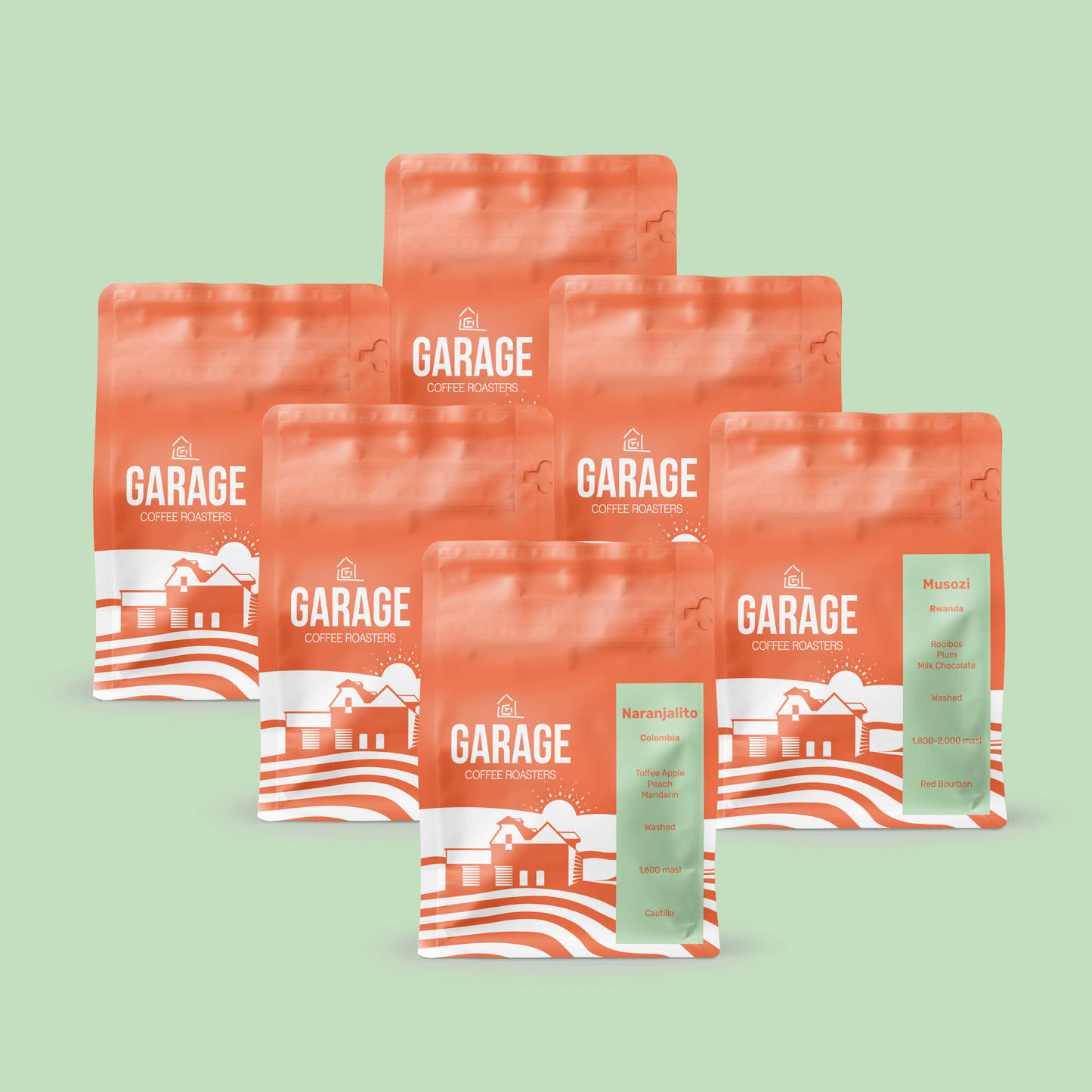 Roaster's Choice Single Origin | 6 Month Gift Subscription
