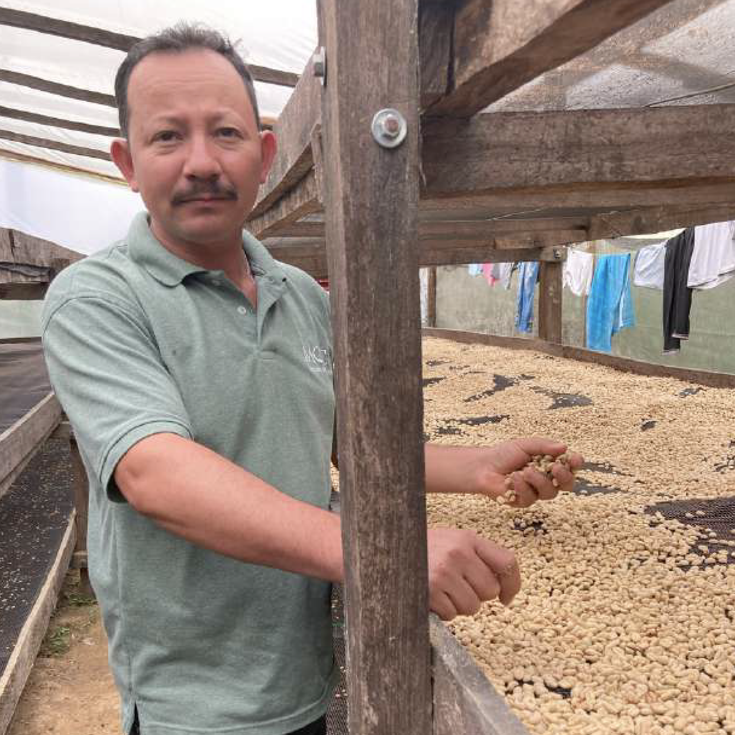 Alexander Vargas, Colombia