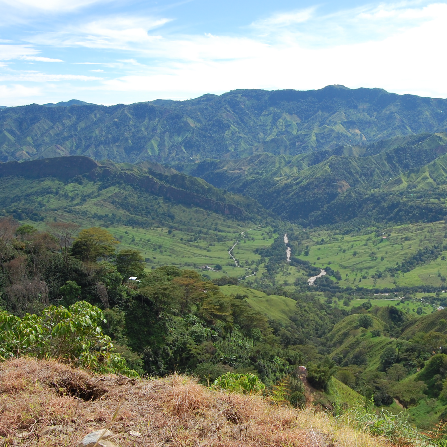 Andrés Trujillo, Colombia