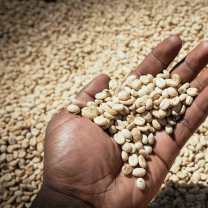 Banko Gotiti, Ethiopia