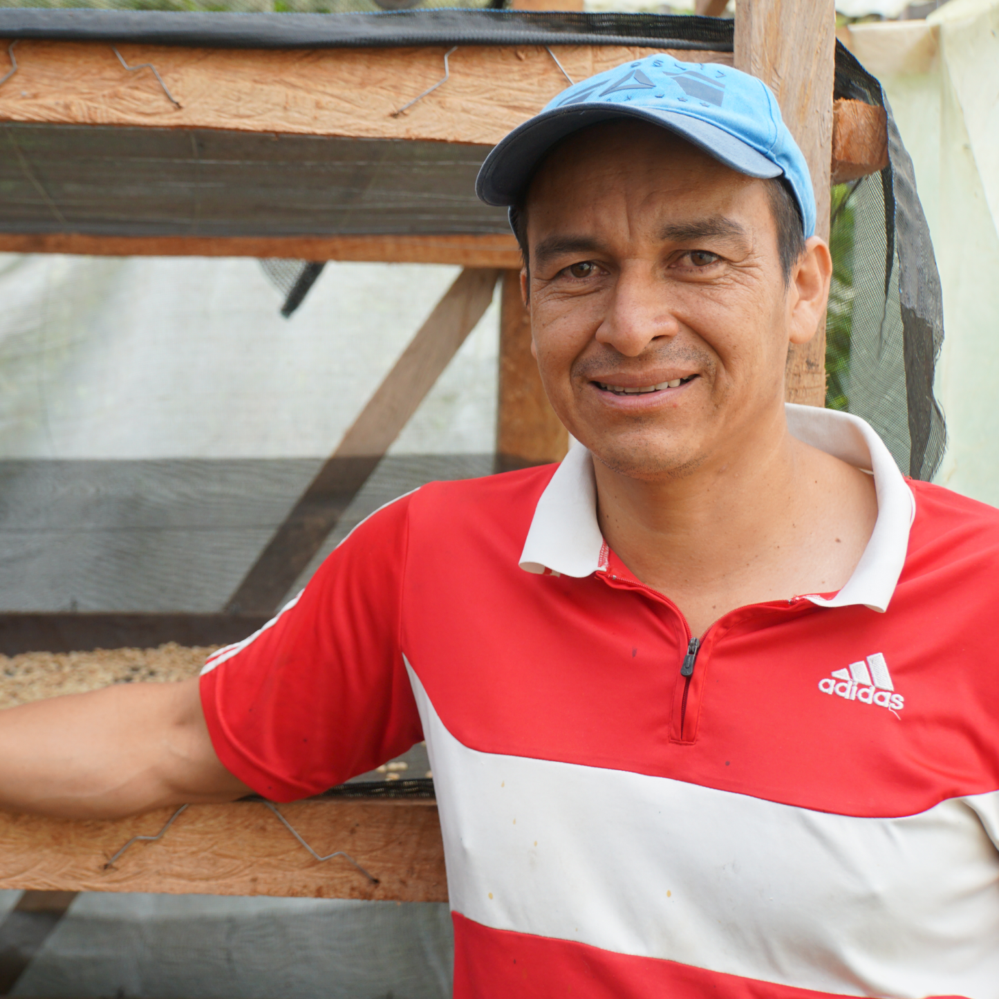 China Alta Ibague, Colombia