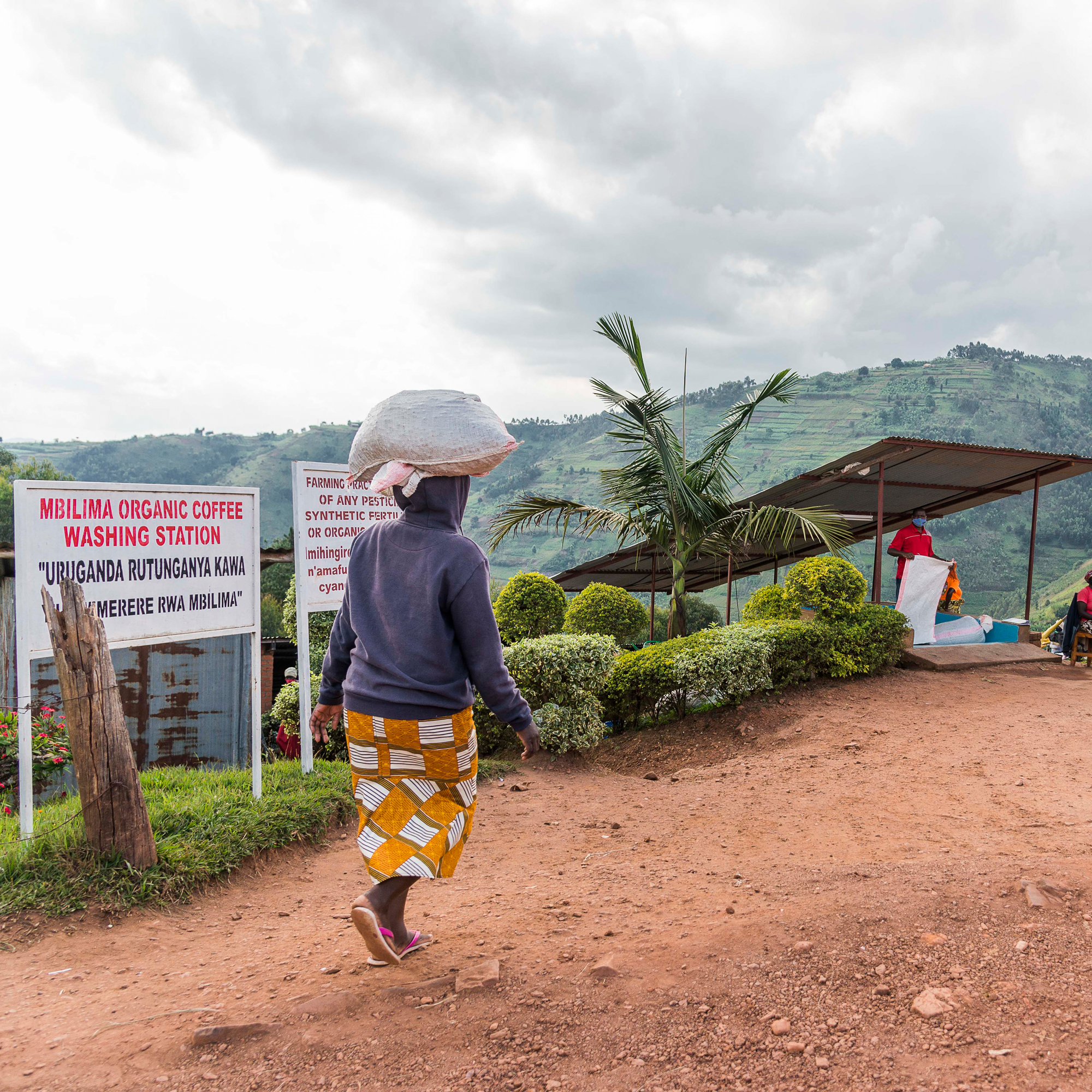 Mblima, Rwanda
