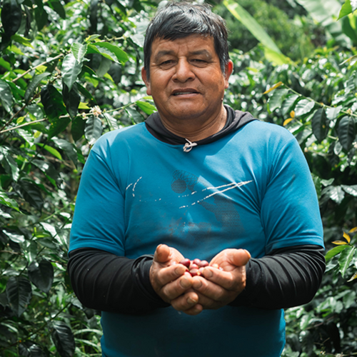 Finca El Eucalipto, Peru