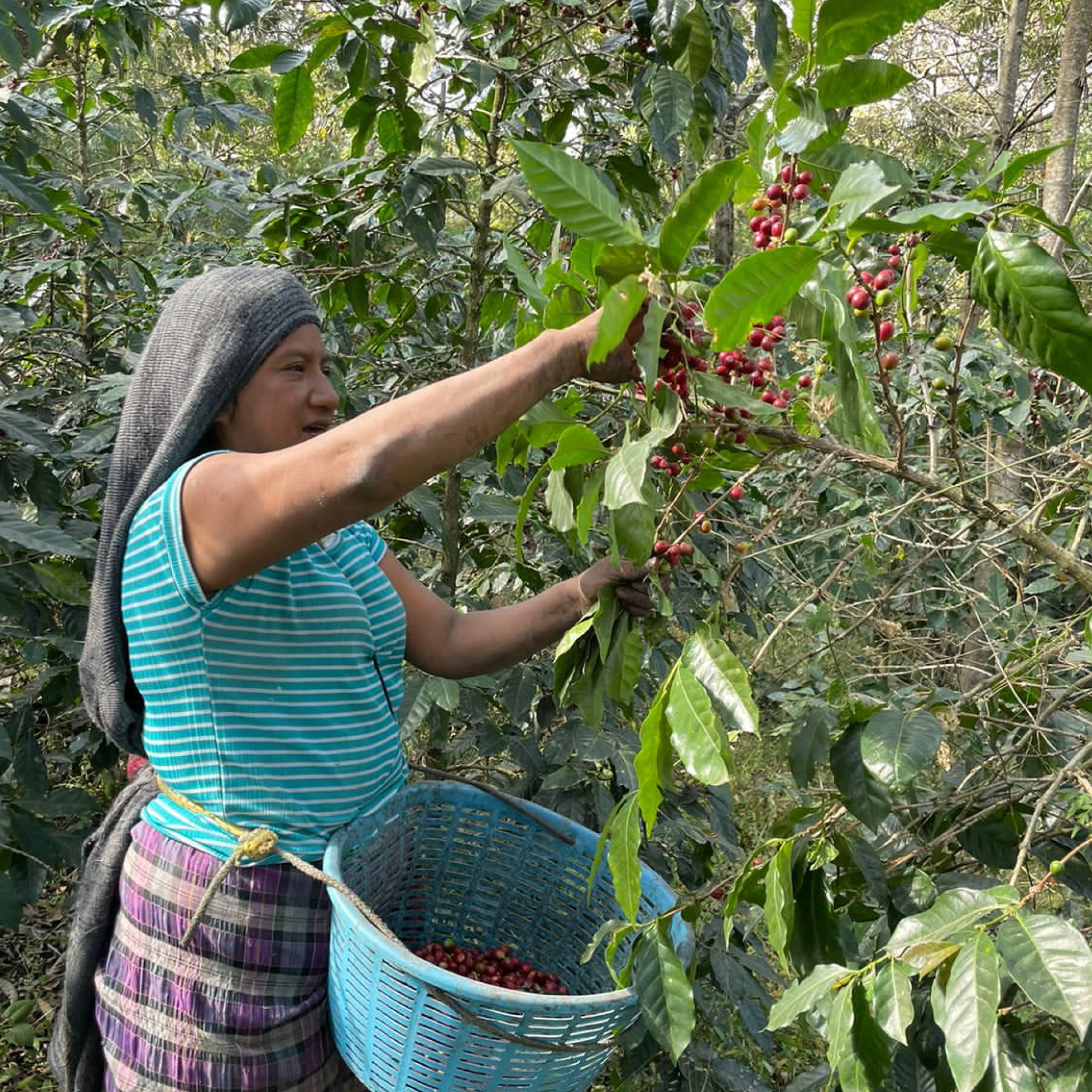Santa Rosa, Guatemala