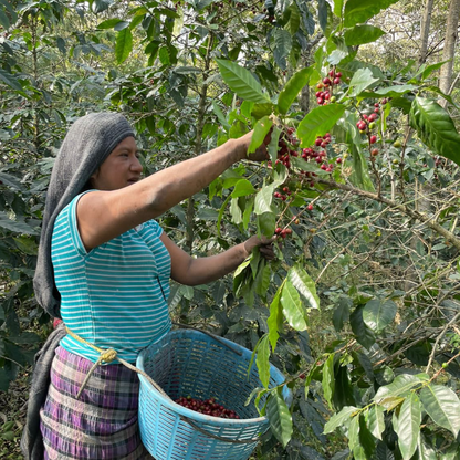 Santa Rosa, Guatemala