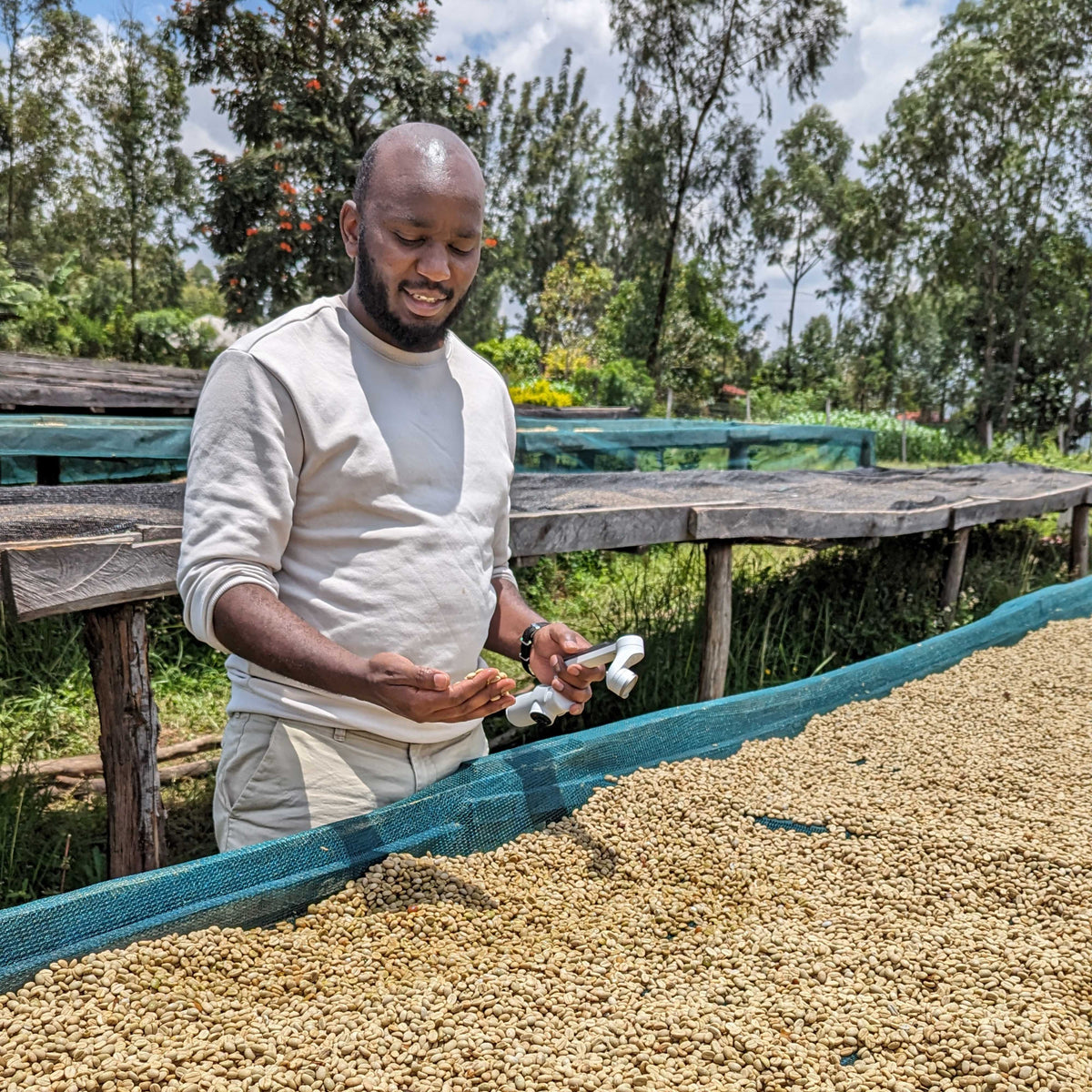 Etago, Kenya farm photo